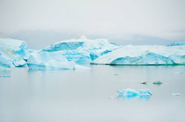 Mavi icebergs Grönland üzerinde Atlantik Okyanusu kıyısında