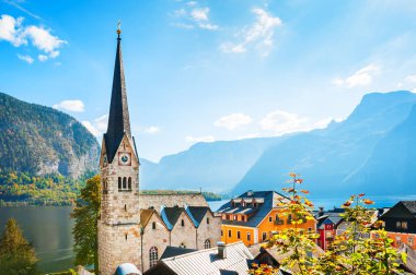 Hallstatter Gölü Avusturya Hallstatt Köyü