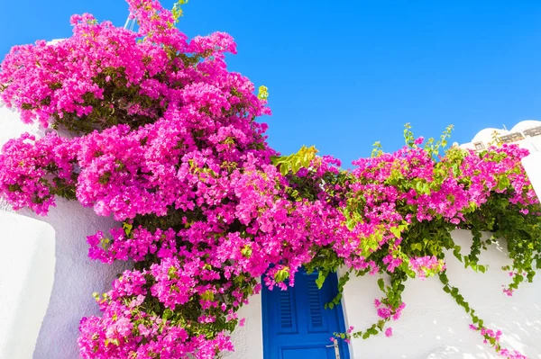 Λευκό κτίριο με μπλε πόρτα και ροζ λουλούδια. — Φωτογραφία Αρχείου