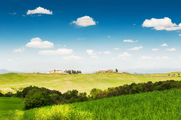 Campos verdes y cielo azul en Toscana, Italia . — Foto de Stock