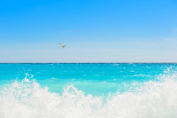 청록색 바다와 푸른 하늘 — 스톡 사진