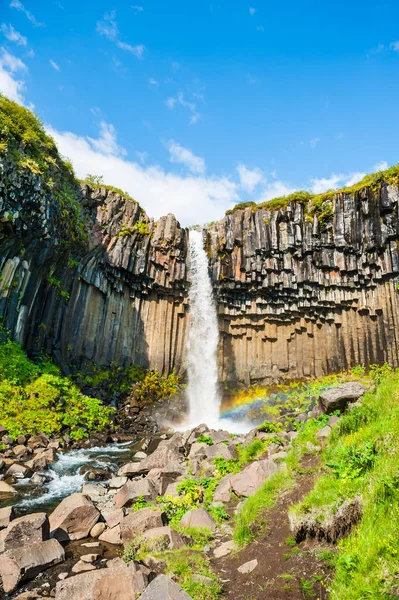 Svartifoss vattenfall i Skaftafell nationalpark, Island. — Stockfoto