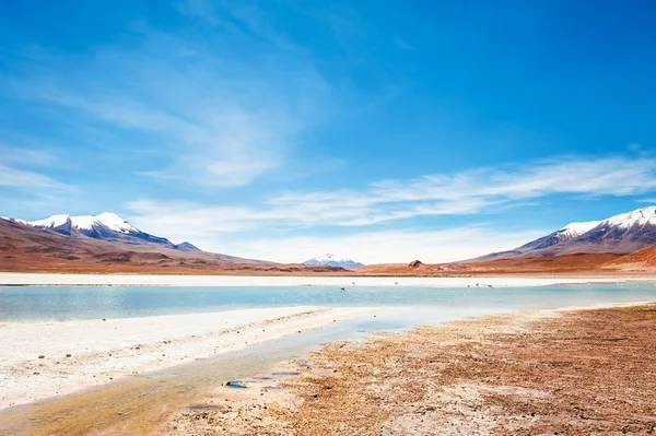 Laguna de gran altitud en meseta Altiplano, Bolivia — Foto de Stock