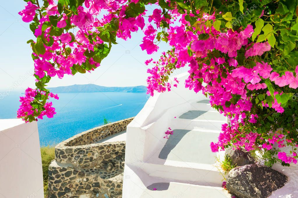 Beautiful terrace with pink flowers on Santorini island, Greece