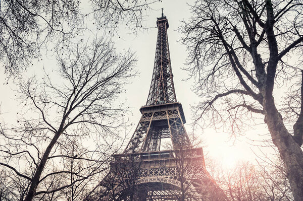 Eiffel Tower view through the trees in Paris, France.