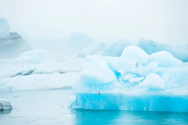 Синій айсбергів в Jokulsarlon льодовиковий лагуни, Ісландія — стокове фото