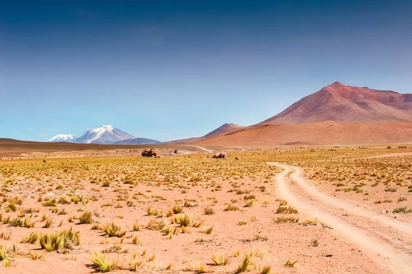 Дорога в пустыне на плато Альтиплано, Боливия — стоковое фото