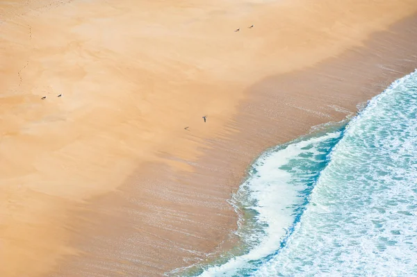 Чайки на желтом песке на пляже . — стоковое фото