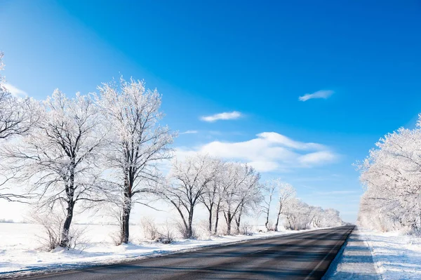 Vinterväg med snötäckta träd och blå himmel. — Stockfoto