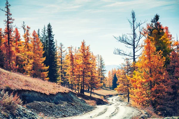Drogi w górach jesieni. — Zdjęcie stockowe