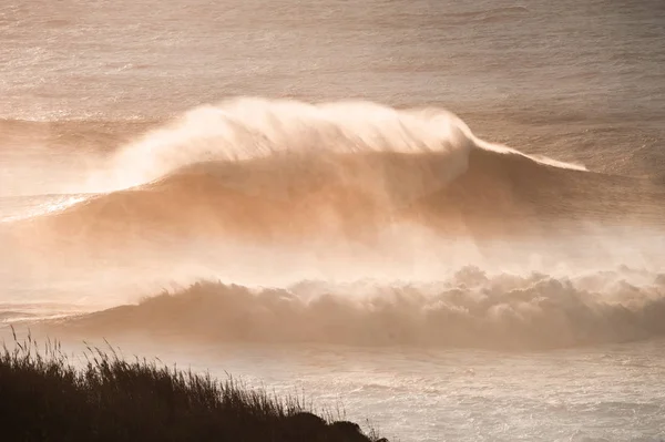 Grote oceaangolf crasht bij zonsondergang bij de kust. — Stockfoto