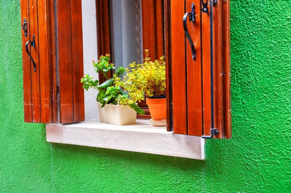 Fenster mit Blumen an der grünen Wand. — Stockfoto