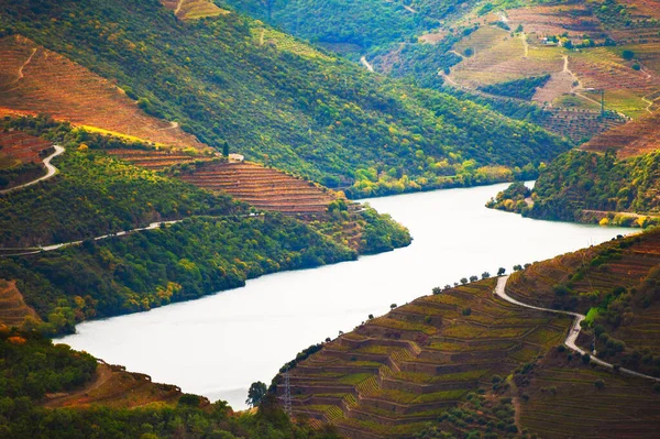 Údolí řeky Douro s vinicemi v Portugalsku. — Stock fotografie