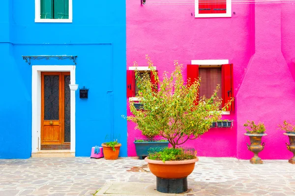 Façades peintes en rose et bleu des maisons . — Photo