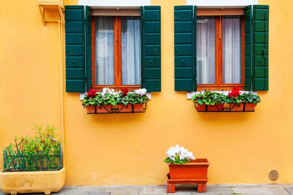 Windows with flowers on the yellow facade of the house.