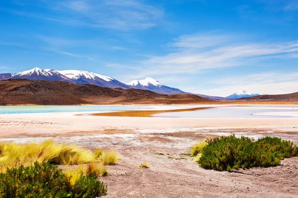 Высотная Лагуна Плато Альтиплано Боливия Пейзажи Южной Америки — стоковое фото