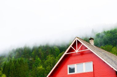 Norveç ormanlarında kırmızı cepheli geleneksel bir Norveç evi. Yaz manzarası, yeşil ağaçlar ve sisli gökyüzü.
