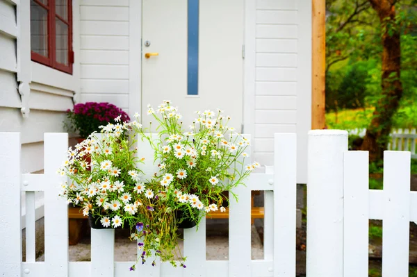 Buquê Margaridas Brancas Portão Casa Paisagem Verão Noruega — Fotografia de Stock