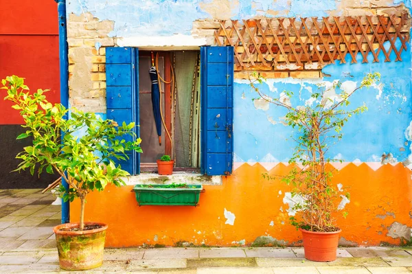 Evin Pencerenin Mavi Panjurlu Pejmürde Görünüşü Burano Adası Venedik Talya — Stok fotoğraf