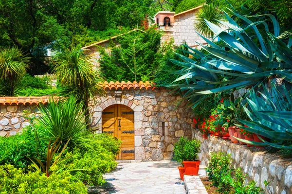 Hermoso Jardín Con Plantas Árboles Verdes Casa Antigua Con Puerta — Foto de Stock
