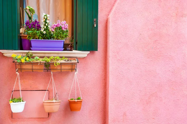 Окно Зелеными Ставнями Цветами Розовой Стене Красочная Архитектура Острова Бурано — стоковое фото