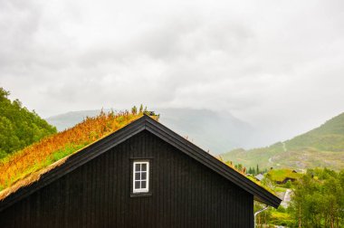 Norveç 'te çim çatılı geleneksel Norveç evi. Yaz manzarası, yağmurlu sabah