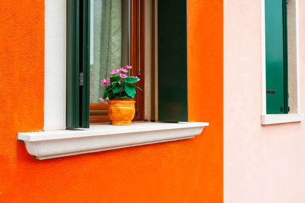 Fenêtre Avec Des Fleurs Sur Mur Orange Architecture Colorée Sur — Photo