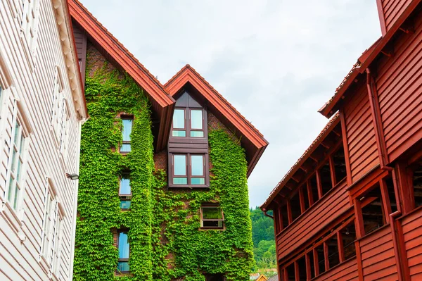 Traditional Norwegian Architecture Bergen Norway Houses Green Plants Facade — Stock Photo, Image