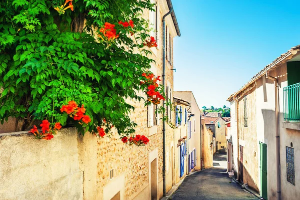 Old architecture and tree with pink flowers on the street in Valensole, Provence, France. Selective focus.