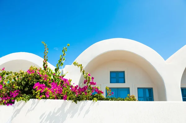 Traditional greek architecture and pink flowers on Santorini island, Greece.