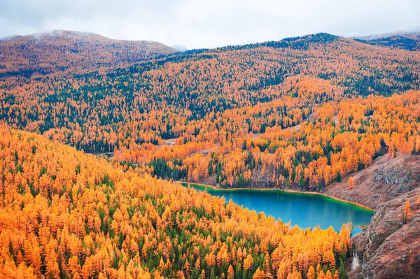 Μικρή Λίμνη Στα Φθινοπωρινά Βουνά Αλτάι Σιβηρία Ρωσία Όμορφο Φθινοπωρινό — Φωτογραφία Αρχείου