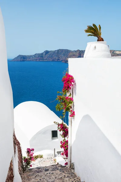 Architettura Bianca Mare Blu Sull Isola Santorini Grecia Famosa Destinazione — Foto Stock