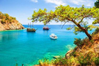 Türkiye 'nin Kemer kenti yakınlarında turkuaz su ve çam ağaçlarıyla güzel bir sahil. Yaz manzarası. Meşhur seyahat yeri