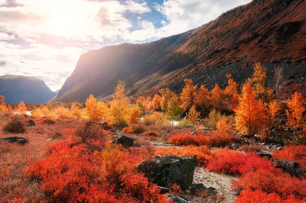 Jesienny Krajobraz Wąwozu Rzeki Chulyshman Górach Altai Syberia Rosja — Zdjęcie stockowe