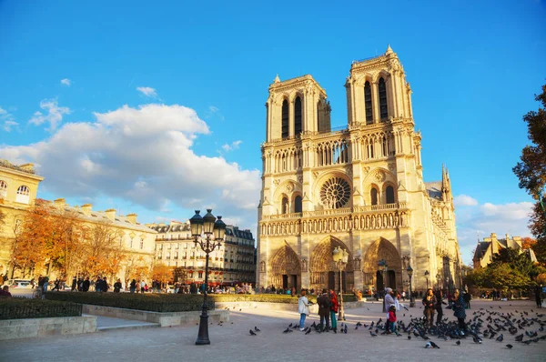 Notre Dame de Paris cathedral – stockfoto