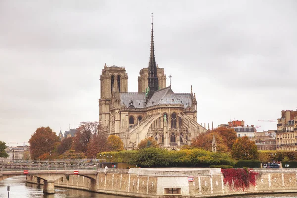 Catedral de Notre Dame de Paris —  Fotos de Stock