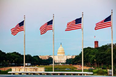 Flags in front of State Capitol building  clipart