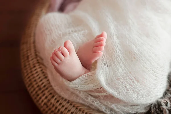 Küçük yeni doğan bebeğin ayakları — Stok fotoğraf