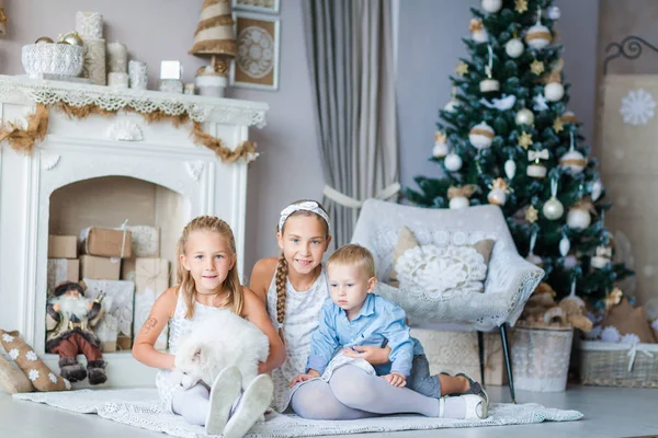 Niños felices cerca del árbol de Navidad —  Fotos de Stock