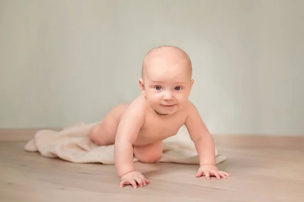 Schattige happy babyjongen kruipen — Stockfoto