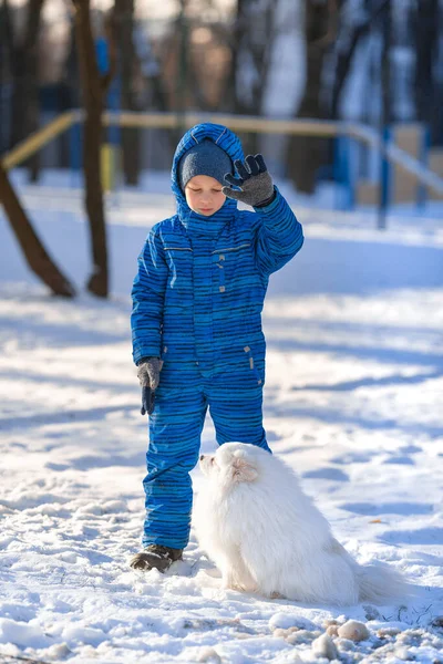 Menino pequeno treinando um cachorro spitz no parque — Fotografia de Stock