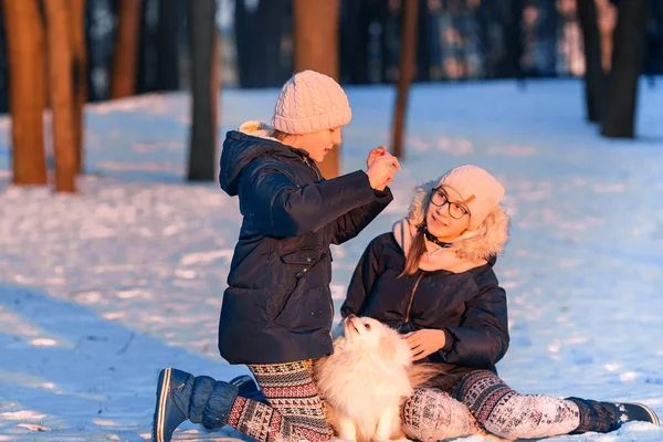 Meninas adolescentes bonitas se divertindo com spitz cão no inverno — Fotografia de Stock