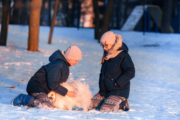 Belle ragazze adolescenti si divertono con il cane spitz in inverno — Foto Stock