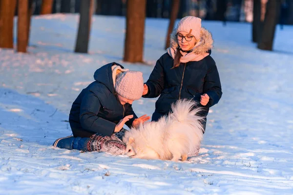 Meninas adolescentes bonitas se divertindo com spitz cão no inverno — Fotografia de Stock