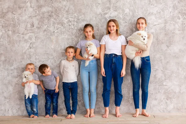 Happy Children Different Age Puppies Standing Line Týmová Práce Přátelství — Stock fotografie