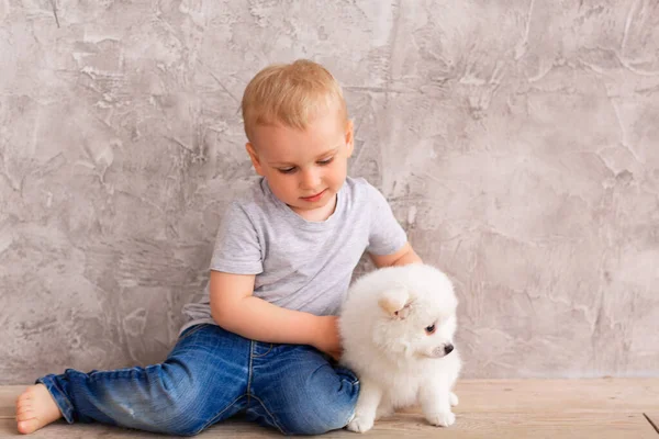 Niedlichen Kleinen Jungen Spielen Mit Kleinen Weißen Welpen Erstes Haustierfreundekonzept — Stockfoto