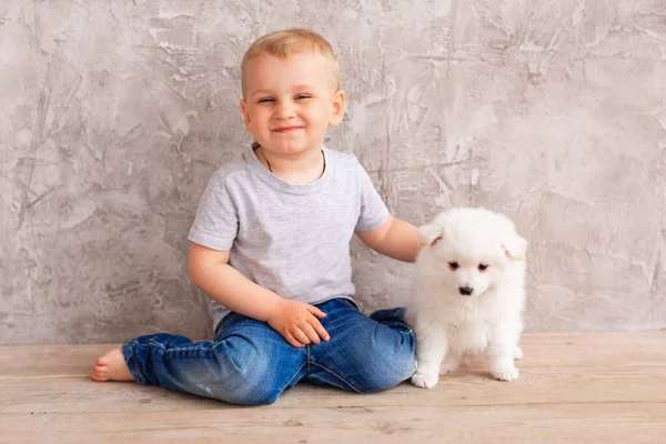 Schattig Klein Jongetje Dat Speelt Met Kleine Witte Puppy Eerste — Stockfoto