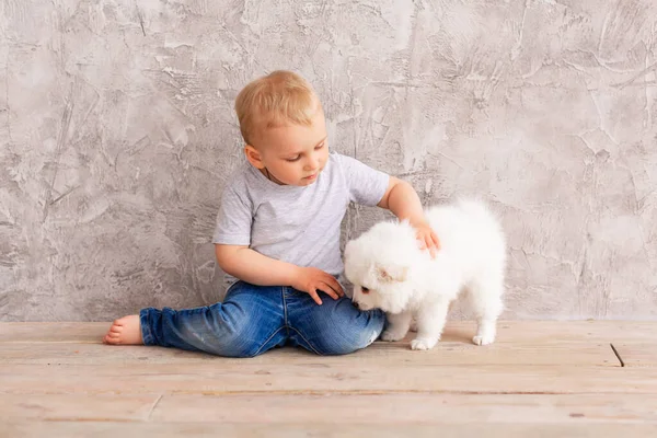 Küçük Tatlı Erkek Bebek Küçük Beyaz Köpek Yavrusuyla Oynuyor Iyi — Stok fotoğraf