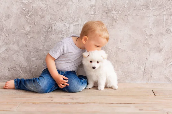 Küçük Tatlı Erkek Bebek Küçük Beyaz Köpek Yavrusuyla Oynuyor Iyi — Stok fotoğraf