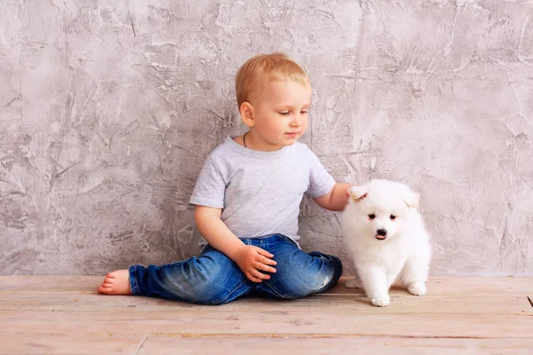 Roztomilý Chlapeček Hraje Malým Bílým Štěnětem První Nejlepší Pet Friend — Stock fotografie